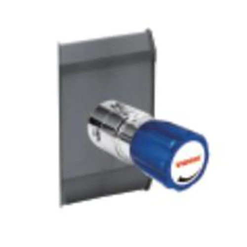 Panel Mount Pressure Regulator